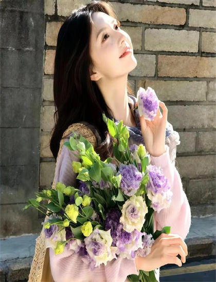 《雍正、小蝶、年羹尧》美学价值重构分析：艺术美感与审美特征探讨